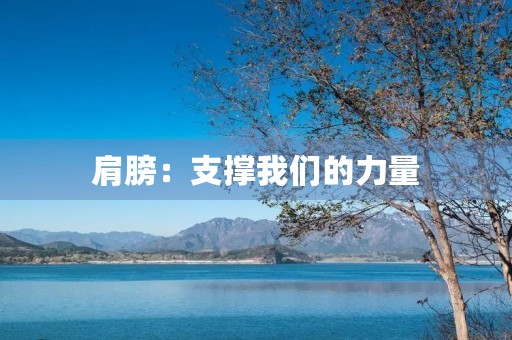 肩膀:支撑我们的力量 肩膀:支撑我们的力量