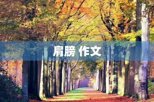 肩膀 作文 肩膀 作文