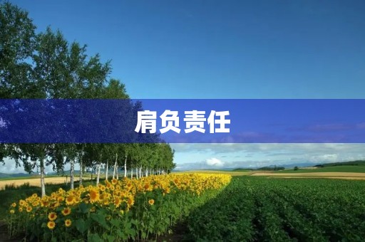 肩负责任,肩承压力——以肩膀为话题的作文 肩负责任,肩承压力——以肩膀为话题的作文