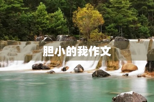 胆小的我作文 胆小的我作文
