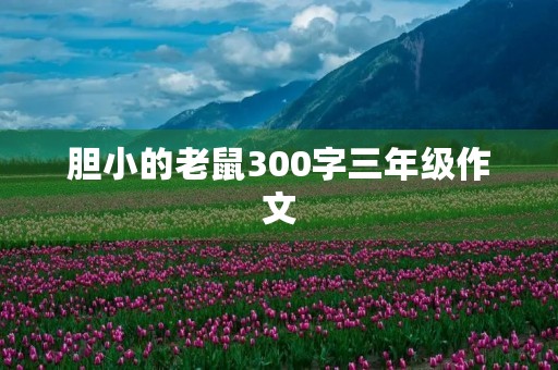 胆小的老鼠300字三年级作文 胆小的老鼠300字三年级作文