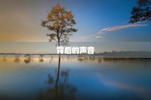 背后的声音