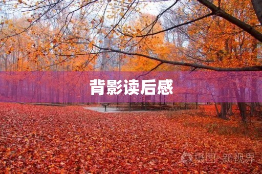背影读后感
