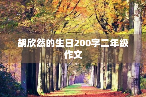 胡欣然的生日200字二年级作文