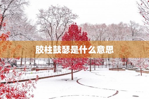 胶柱鼓瑟是什么意思