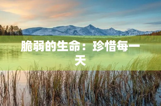 脆弱的生命：珍惜每一天