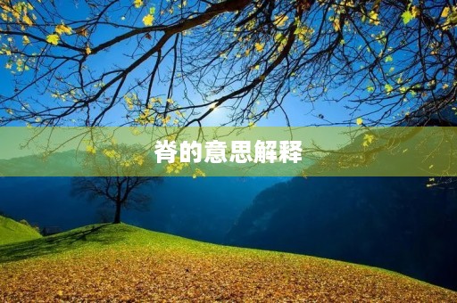 脊的意思解释(脊) 脊的意思解释(脊)