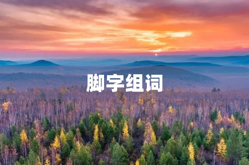 脚字组词(脚组词)