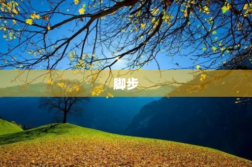 脚步，带我走向未来