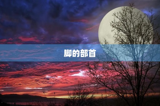 脚的部首(脚的部首) 脚的部首(脚的部首)