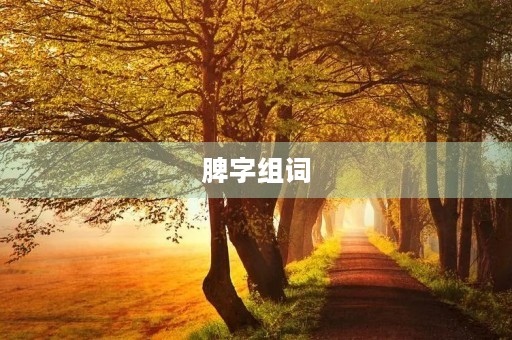脾字组词(脾组词)