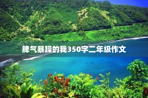 脾气暴躁的我350字二年级作文