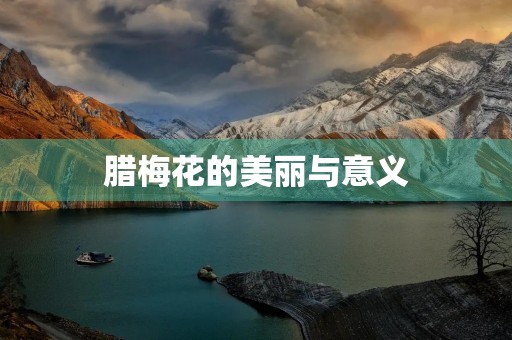 腊梅花的美丽与意义 腊梅花的美丽与意义
