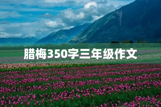 腊梅350字三年级作文