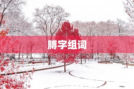 膊字组词(膊组词) 膊字组词(膊组词)