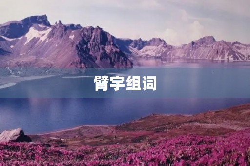 臂字组词(臂的组词)
