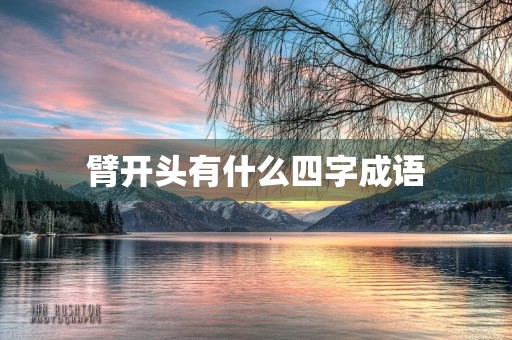 臂开头有什么四字成语