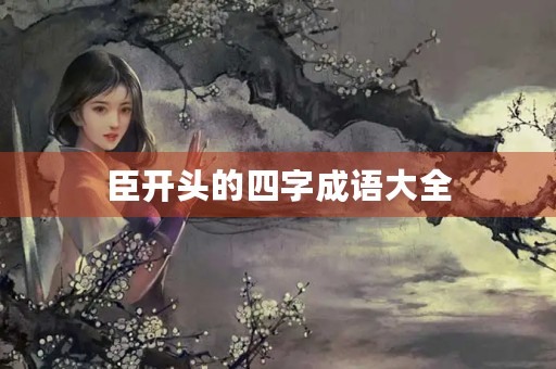 臣开头的四字成语大全 臣开头的四字成语大全