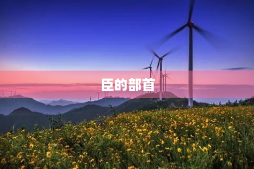 臣的部首(臣的部首) 臣的部首(臣的部首)