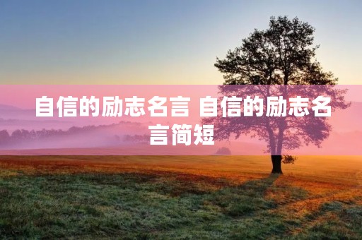 自信的励志名言 自信的励志名言简短 自信的励志名言 自信的励志名言简短