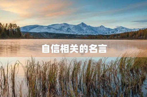 自信相关的名言(自信相关的名言警句)