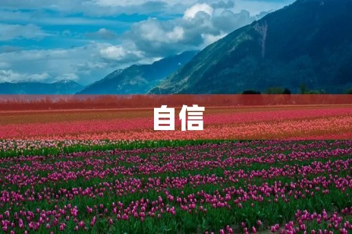 自信,让你更加出色 自信,让你更加出色