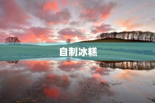 自制冰糕 自制冰糕