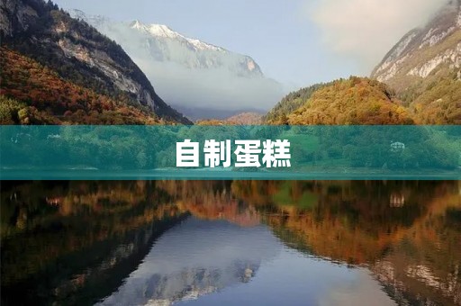 自制蛋糕 自制蛋糕