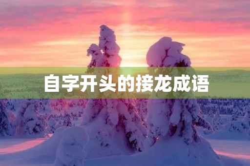 自字开头的接龙成语