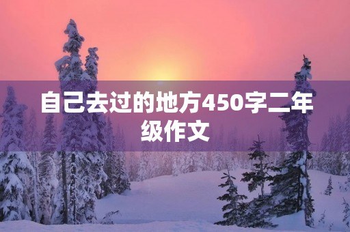 自己去过的地方450字二年级作文
