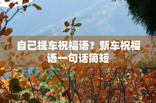 自己提车祝福语?新车祝福语一句话简短