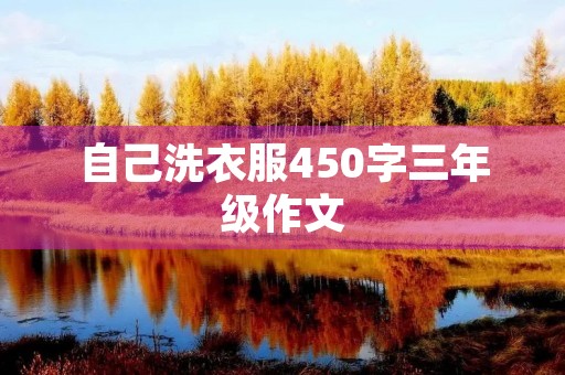 自己洗衣服450字三年级作文 自己洗衣服450字三年级作文