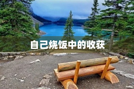 自己烧饭中的收获 自己烧饭中的收获