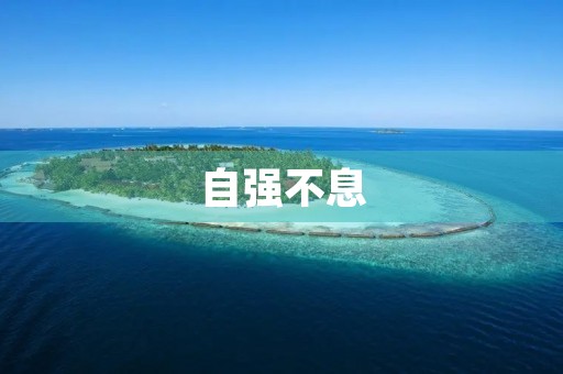 自强不息,励志向前 自强不息,励志向前