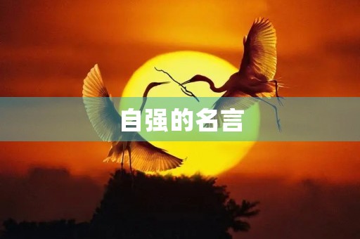 自强的名言，自强的名言名句