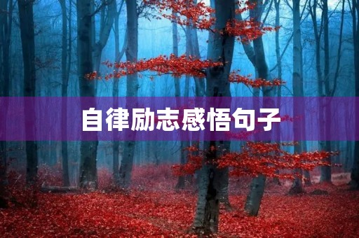 自律励志感悟句子(自律励志感悟句子简短) 自律励志感悟句子(自律励志感悟句子简短)