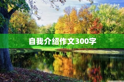 自我介绍作文300字