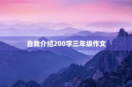 自我介绍200字三年级作文