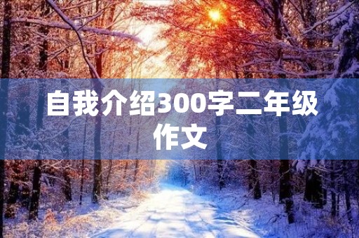 自我介绍300字二年级作文 自我介绍300字二年级作文