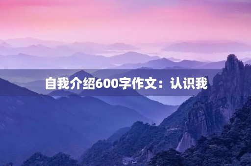 自我介绍600字作文：认识我，认识更好的自己