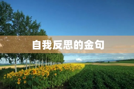 自我反思的金句,自我反思的金句摘抄 自我反思的金句,自我反思的金句摘抄