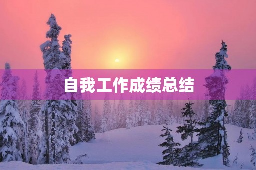 自我工作成绩总结