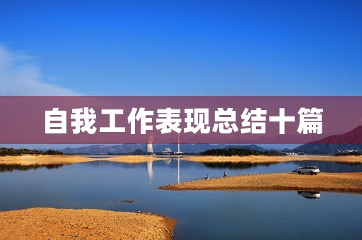 自我工作表现总结十篇