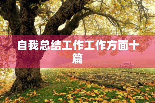 自我总结工作工作方面十篇