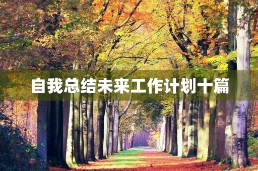 自我总结未来工作计划十篇 自我总结未来工作计划十篇