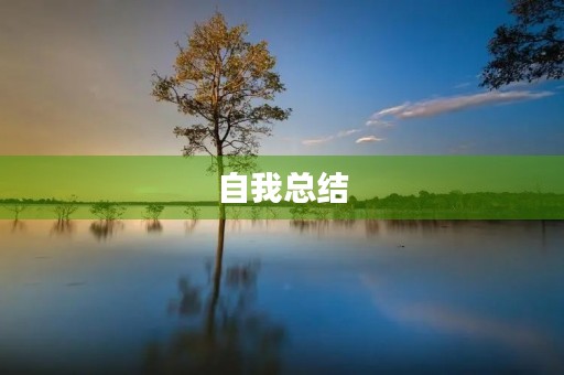 自我总结,走向更好的自己 自我总结,走向更好的自己