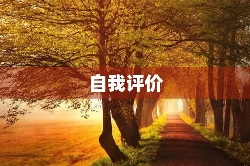 自我评价