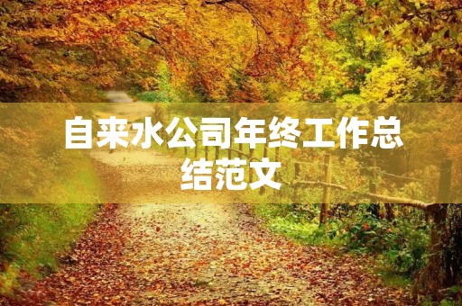 自来水公司年终工作总结范文