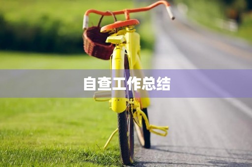 自查工作总结