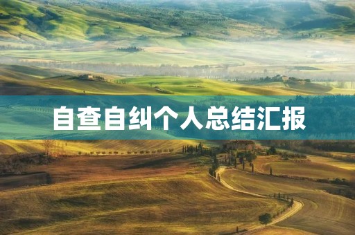 自查自纠个人总结汇报